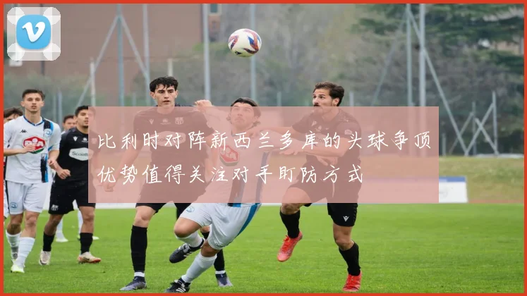 比利时对阵新西兰多库的头球争顶优势值得关注对手盯防方式