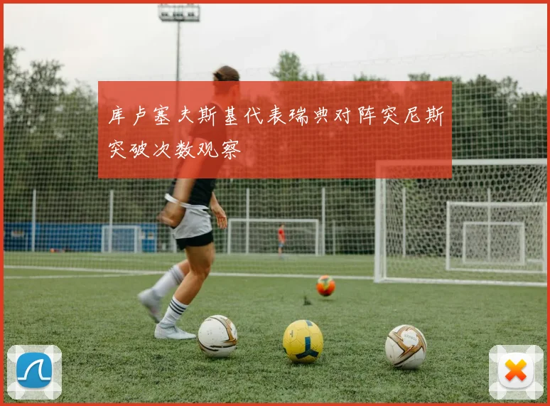 库卢塞夫斯基代表瑞典对阵突尼斯突破次数观察