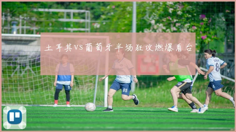 土耳其vs葡萄牙半场狂攻燃爆看台