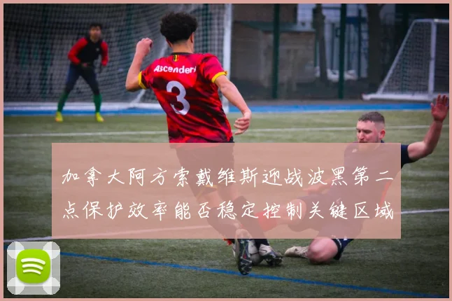 加拿大阿方索戴维斯迎战波黑第二点保护效率能否稳定控制关键区域